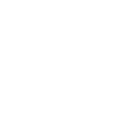 星元經營理念_專業團隊